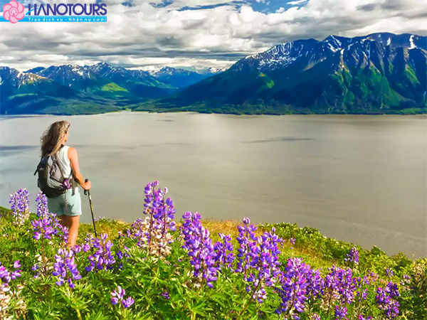 Vẻ đẹp của Anchorage Mỹ