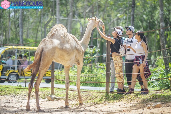 Vườn thú mở Safari Phú Quốc