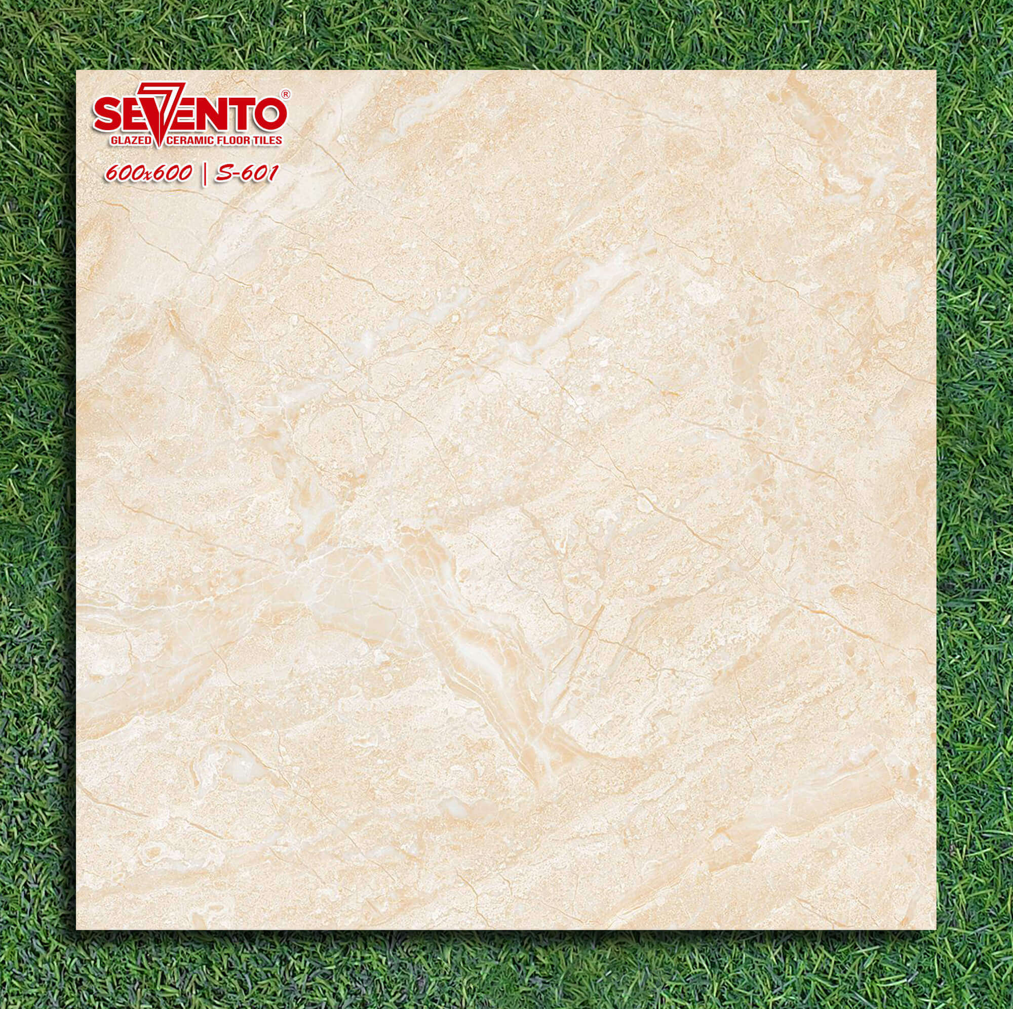 GẠCH LÁT 60x60: S601