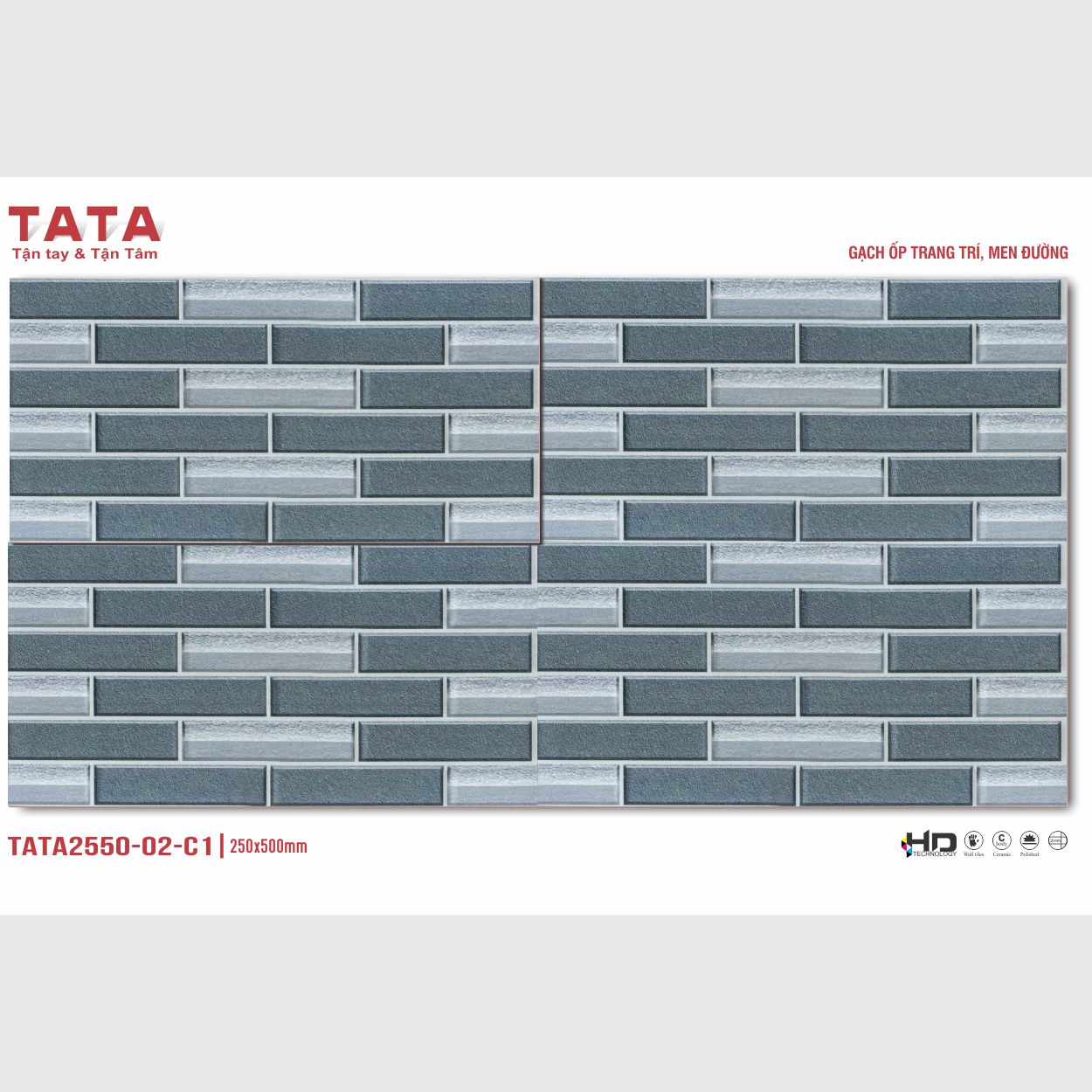 GẠCH ỐP TƯỜNG TATA 20x50: TATA2550-02-C1