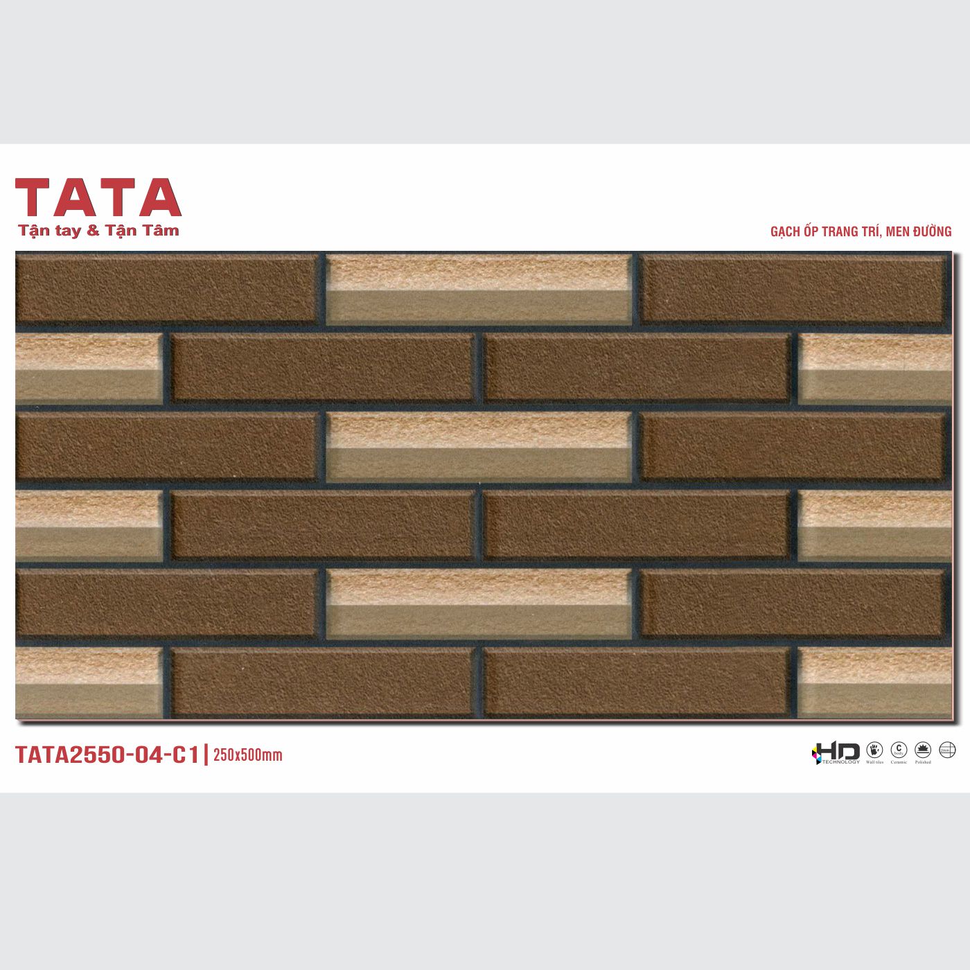GẠCH ỐP TƯỜNG TATA 20x50: TATA2550-04-C1