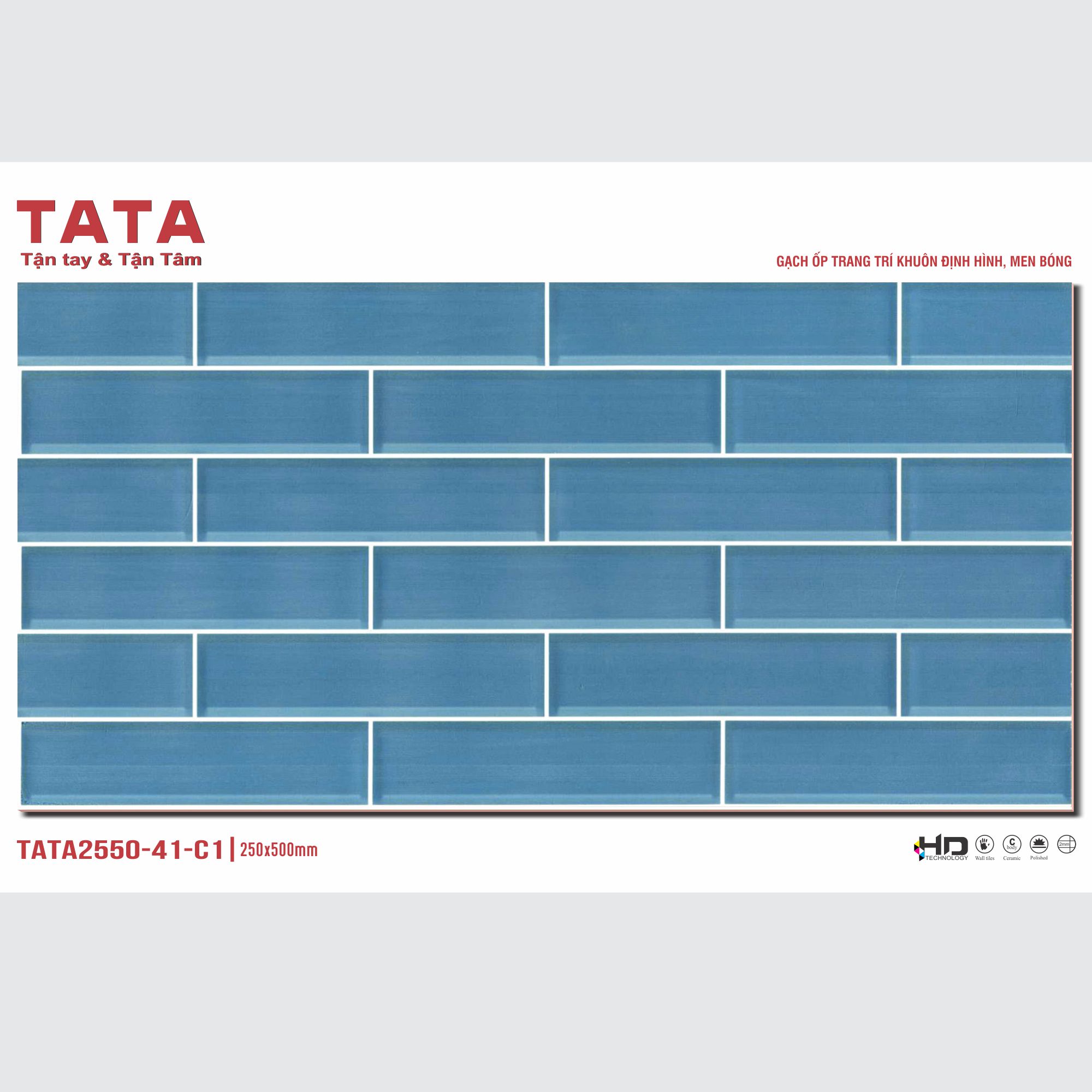 GẠCH ỐP TƯỜNG TATA 20x50: TATA2550-41-C1