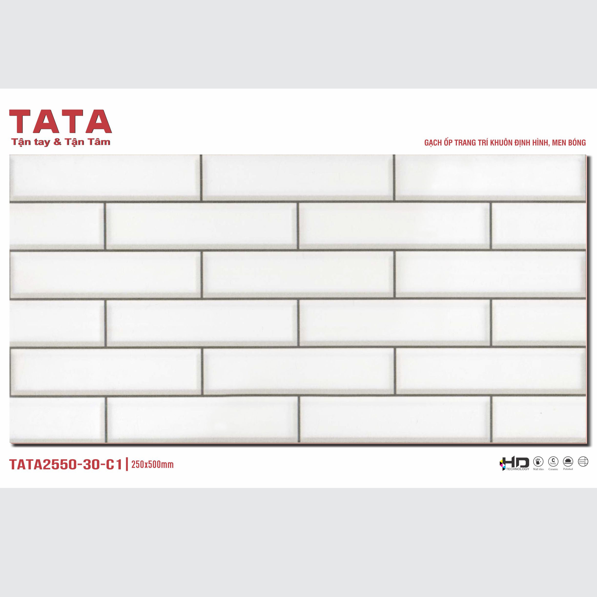 GẠCH ỐP TƯỜNG TATA 20x50: TATA2550-30-C1