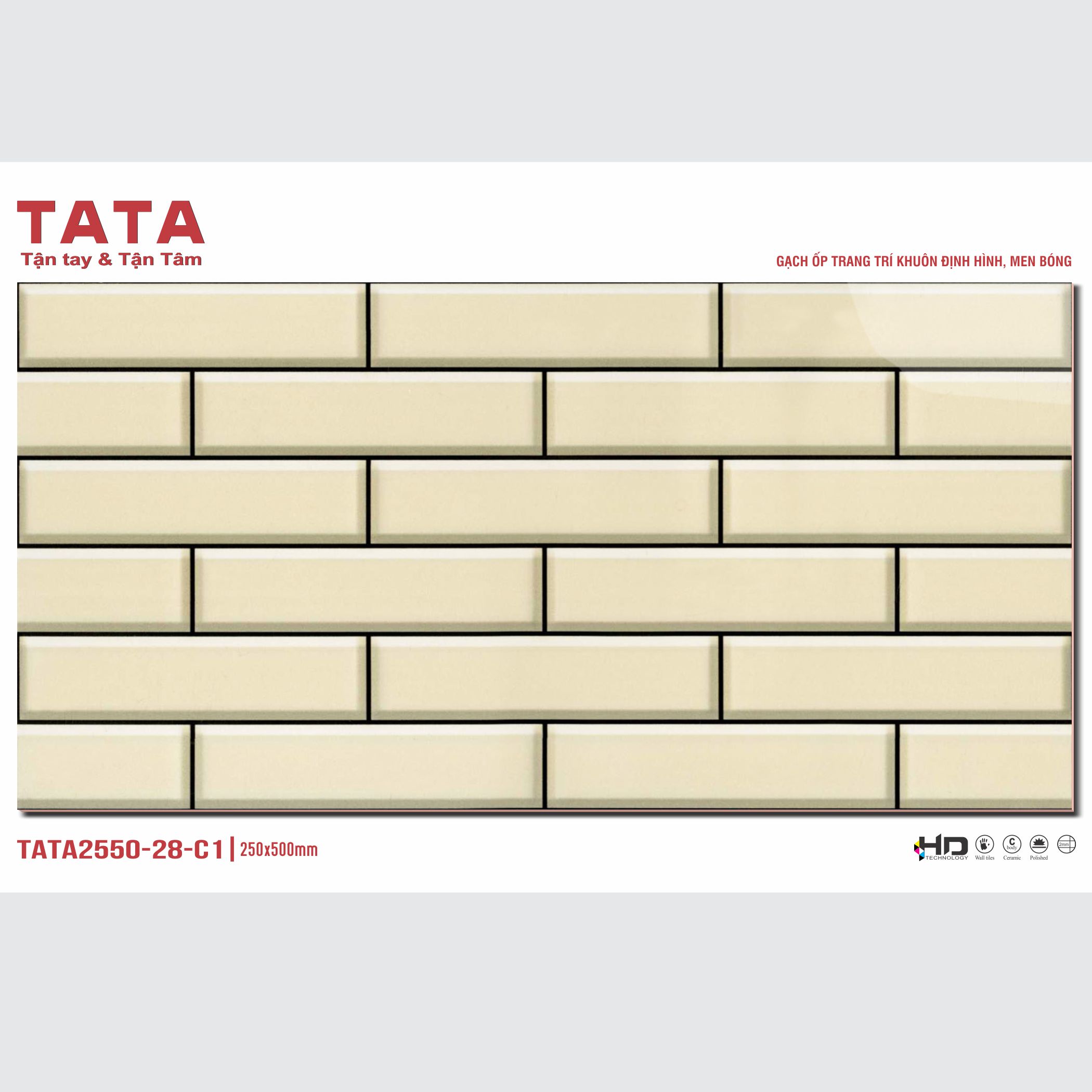 GẠCH ỐP TƯỜNG TATA 20x50: TATA2550-28-C1