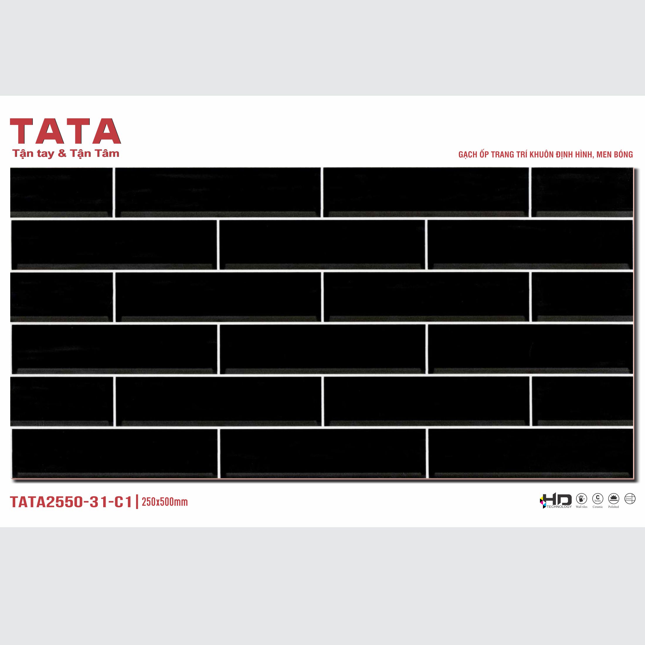 GẠCH ỐP TƯỜNG TATA 20x50: TATA2550-31-C1