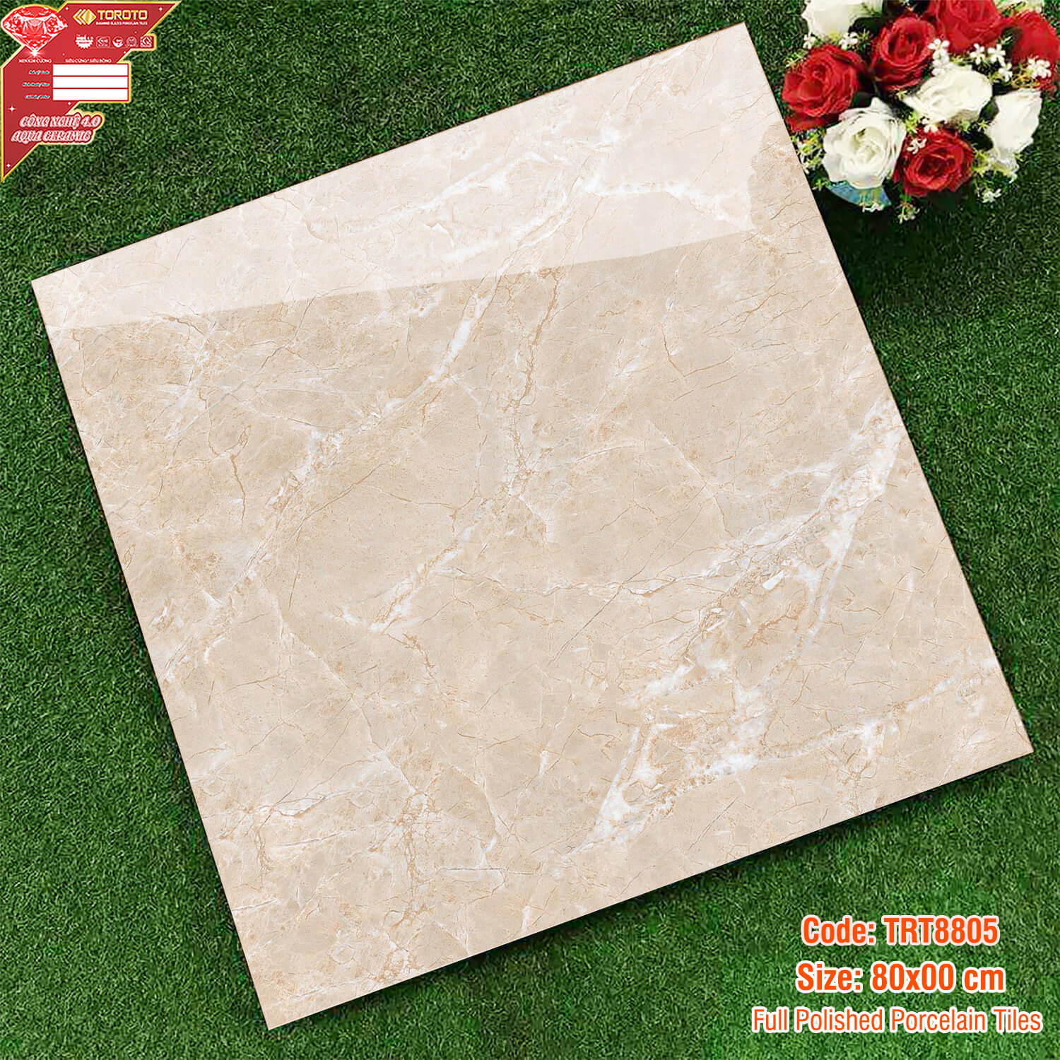 GẠCH LÁT NỀN 80x80: TRT8805