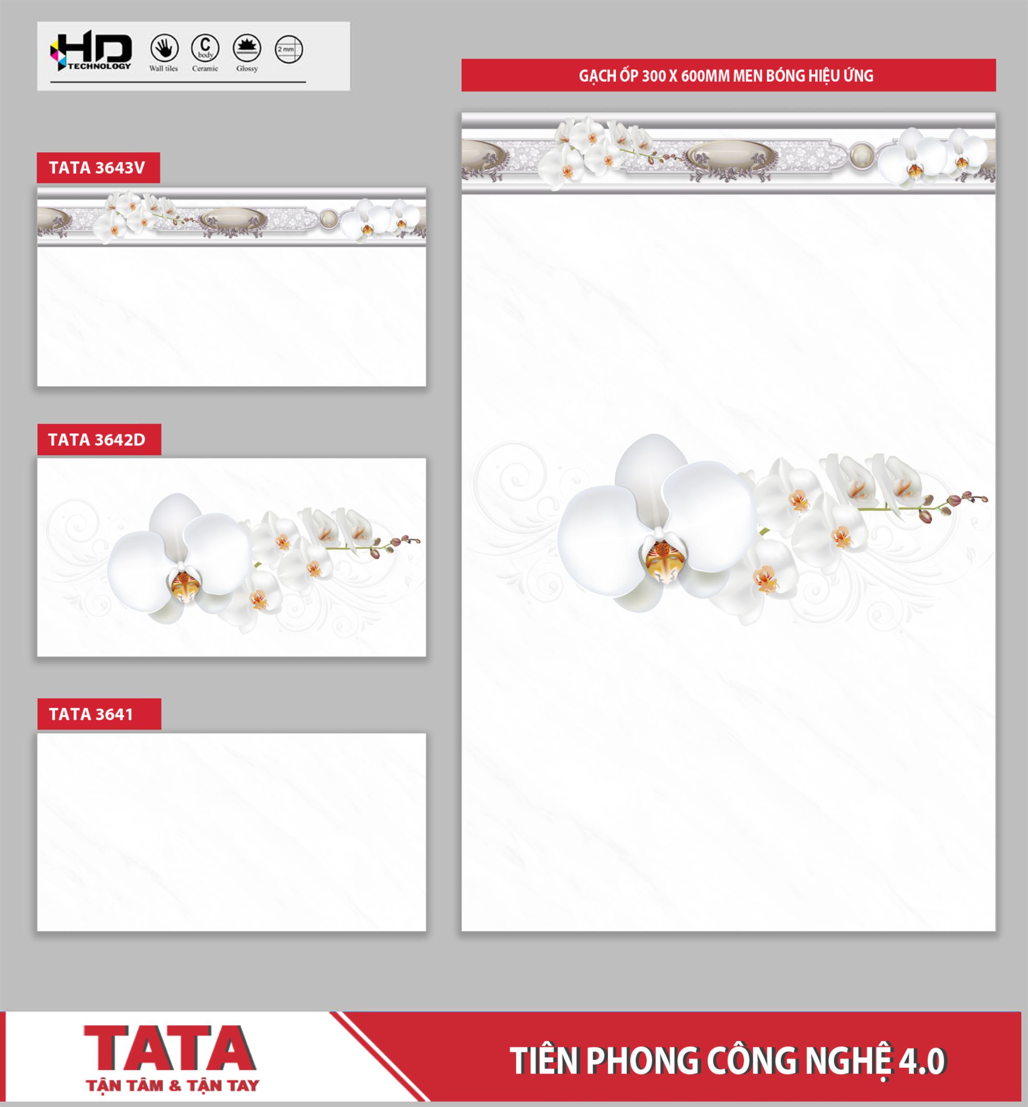 GẠCH ỐP TƯỜNG TATA 300x600: TATA3641-42D-43V