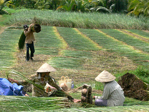 Những công dụng tuyệt vời của dép chiếu đi trong nhà cho gót hồng