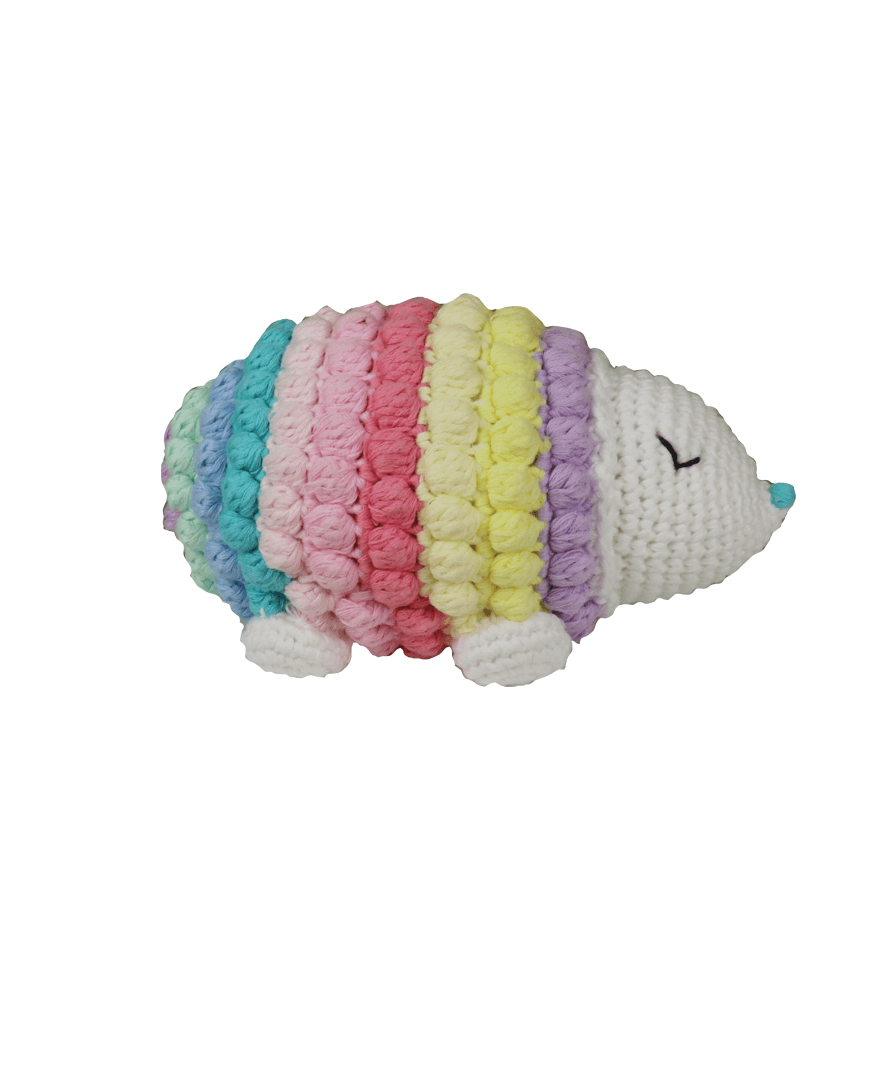 Baby Rainbow Pocupine