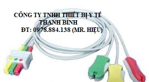 Cáp điện tim Drager Siemens