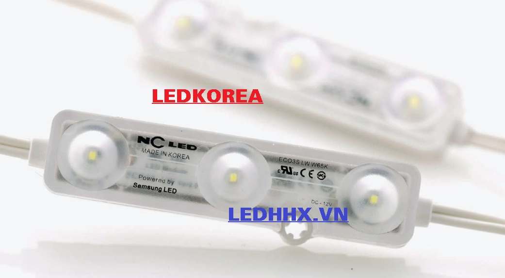 Module 3 LED Korea