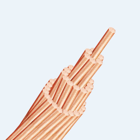 Dây Đồng Trần