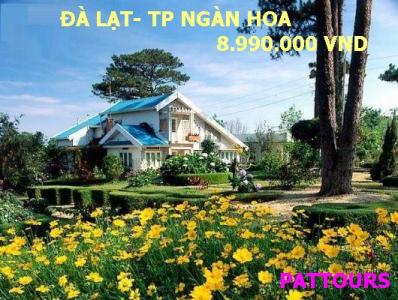 Chương trình Festival Hoa Đà Lạt lần thứ V