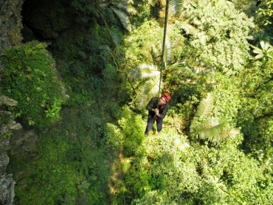  Phát hiện 39 hang động mới ở Phong Nha – Kẻ Bàng (Quảng Bình)