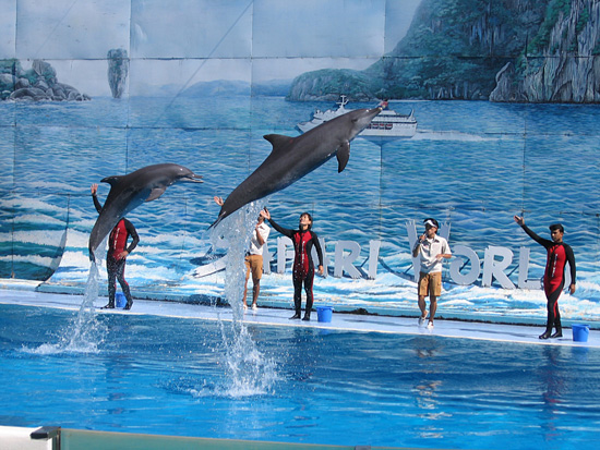 SAFARI WORLD - điểm tham quan hấp dẫn nhất Bangkok