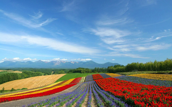 Hokkaido- thiên đường du lịch của Nhật Bản