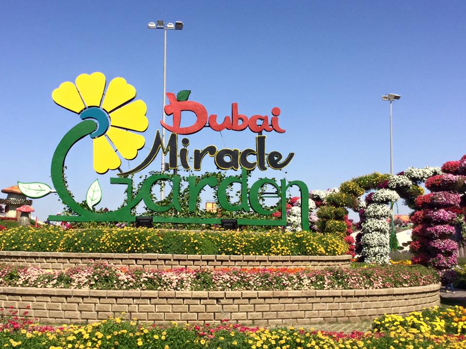 Vườn Miracle-Du Bai- vườn hoa lớn nhất thế giới