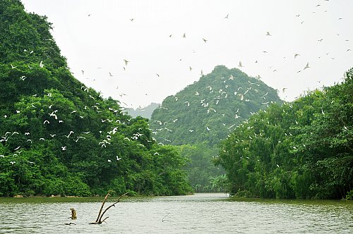 Du lịch sinh thái Thung Nham