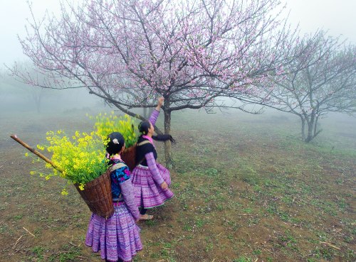 Mộc Châu chuẩn bị tổ chức Ngày hội Văn hóa các dân tộc Mộc Châu năm 2015