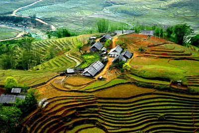 Hoàng Su Phì tổ chức lễ hội ruộng bậc thang