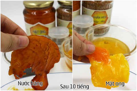 phan-biet-mat-ong-that-bang-cach-cho-long-do-trung-ga-vao-mat-ong-2
