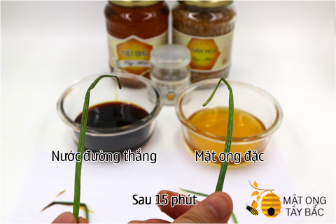 phan-biet-mat-that-bang-cach-nhung-cong-hanh-la-vao-mat-ong