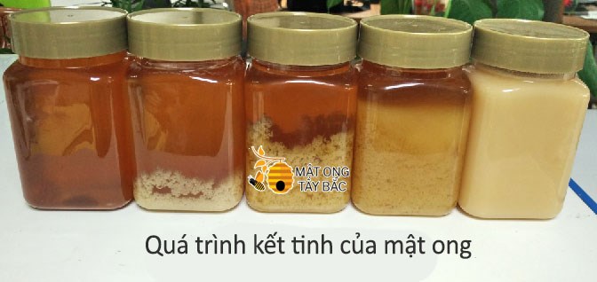 qua-trinh-ket-tinh-cua-mat-ong-1