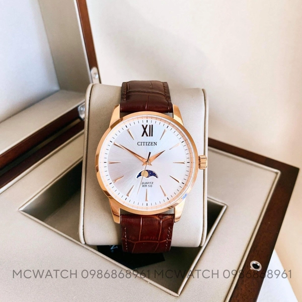 Đồng hồ CITIZEN Quartz 42mm Nam AK5003-05A