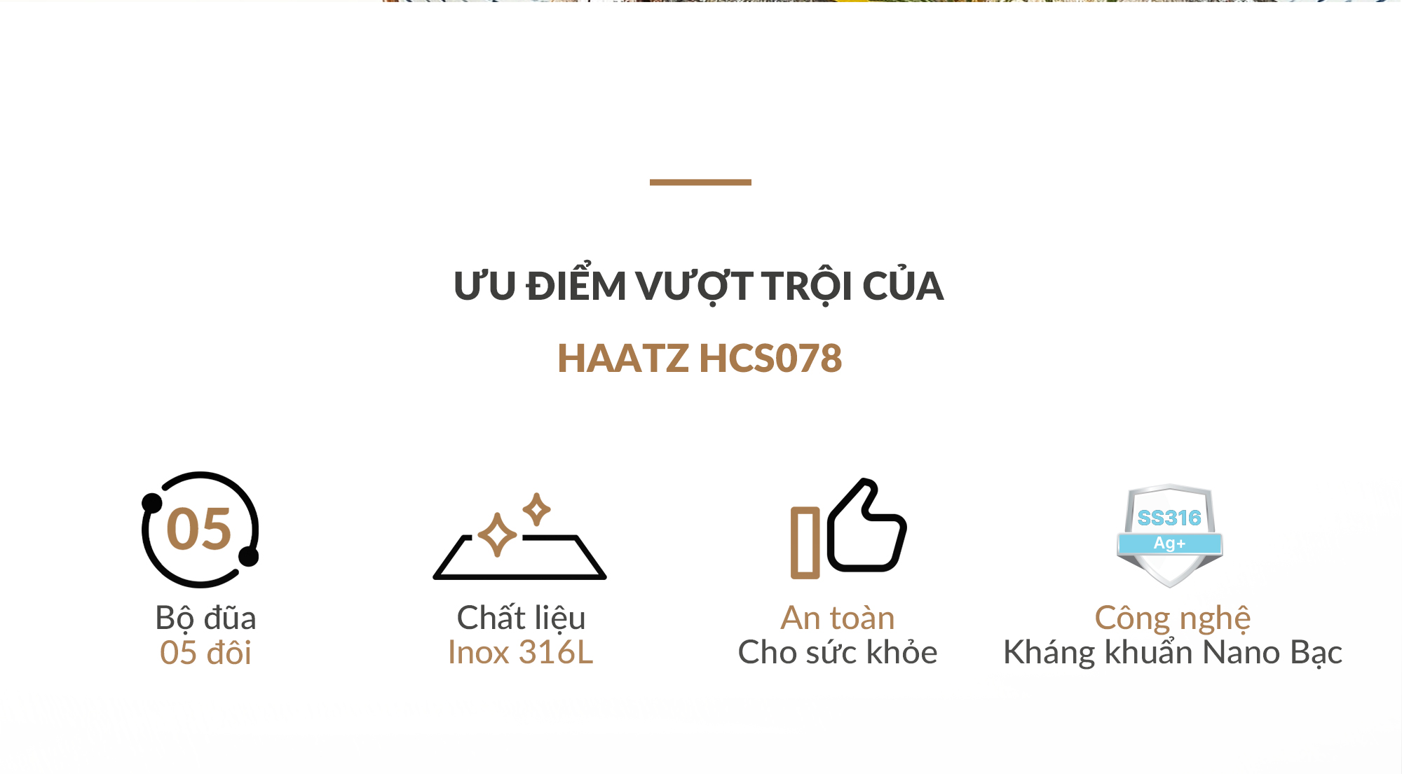Hộp 5 đôi đũa HAATZ inox 316 công nghệ phủ Ag+