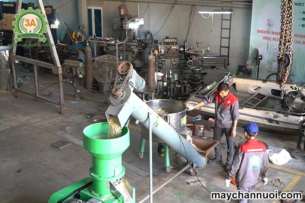 Dây chuyền sản xuất cám viên 