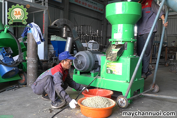 Dây chuyền sản xuất cám viên 