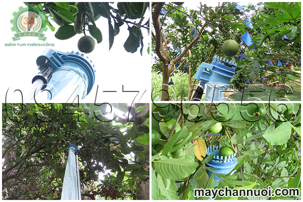 dụng cụ hái quả