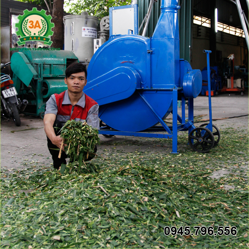 Cỏ sau khi băm nhỏ 