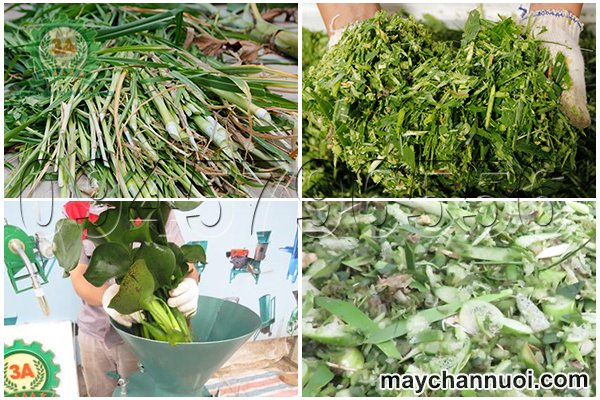 máy chế biến thức ăn chăn nuôi