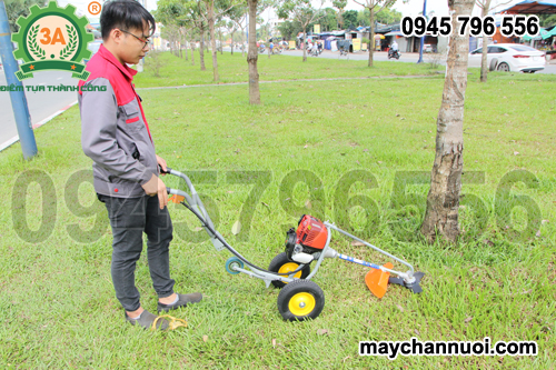 máy cắt cỏ sân vườn