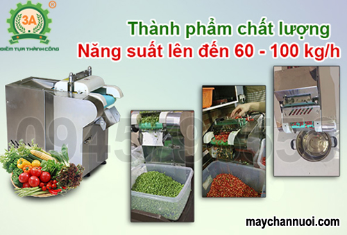 Máy cắt rau củ công nghiệp băng tải