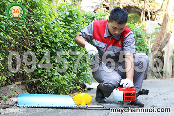 máy tỉa hàng rào