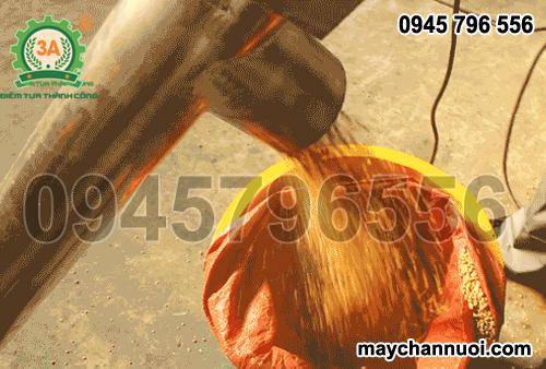 Máy hút hạt cà phê, hạt tiêu 