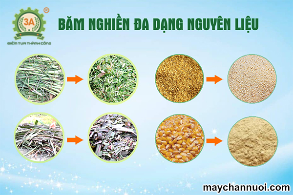 Máy nghiền ngô 3A