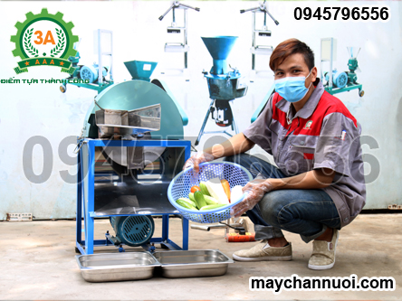 máy thái củ quả 3A1,5Kw