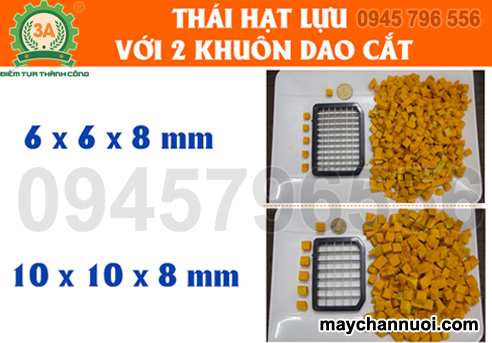 Máy thái rau củ hạt lựu 4