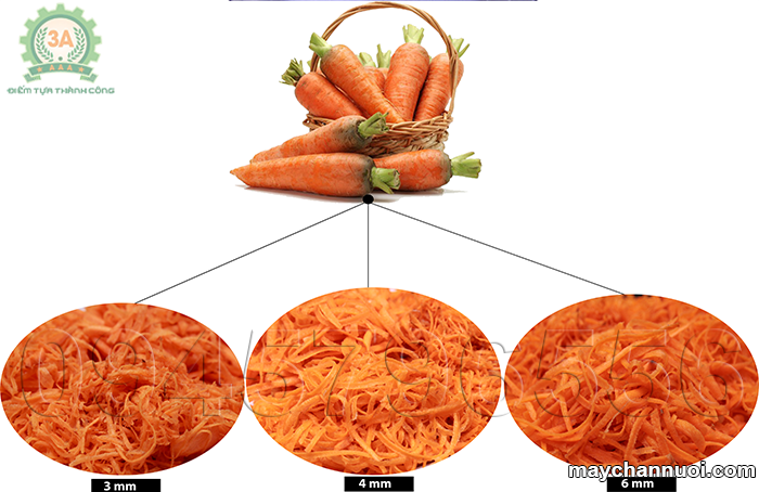 máy cắt rau củ quả 3A