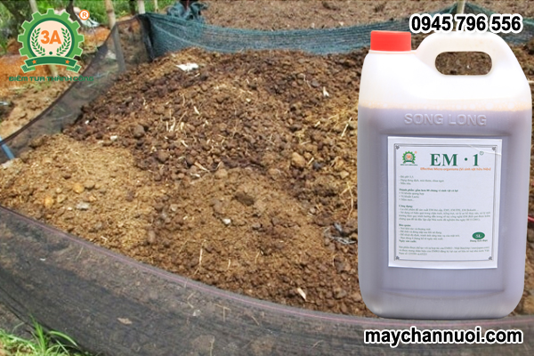 phân vi sinh từ phân bò