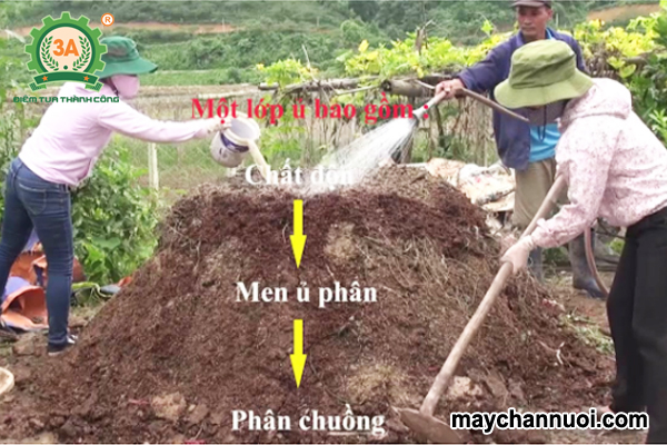 Quy trình ủ phân hữu cơ từ phân chuồng