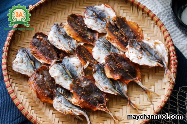 máy sấy cá khô