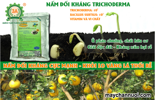 Trichoderma trong nông nghiệp