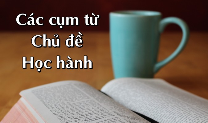 Các cụm từ về chủ đề Học tập