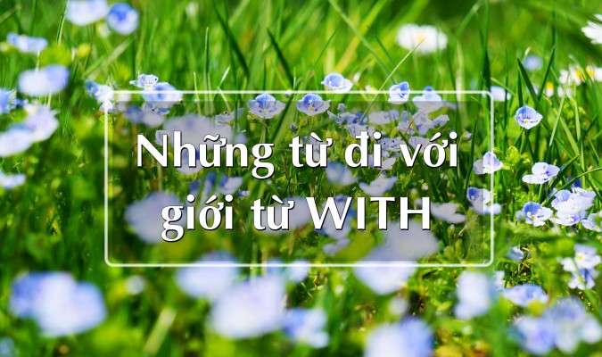 30 từ đi với giới từ WITH
