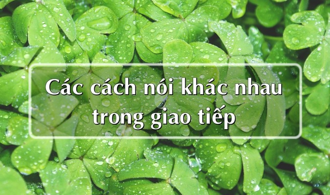 Các cách nói khác nhau trong giao tiếp (Phần II)