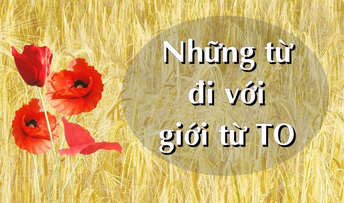 55 từ đi với giới từ TO